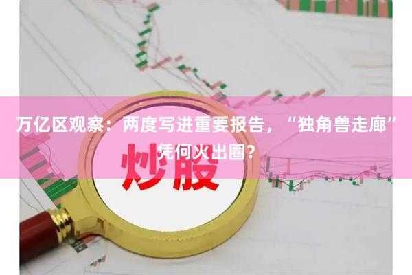 万亿区观察：两度写进重要报告，“独角兽走廊”凭何火出圈？