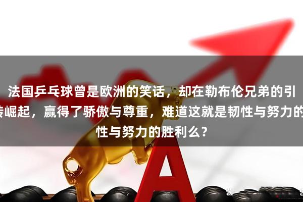 法国乒乓球曾是欧洲的笑话，却在勒布伦兄弟的引领下逆转崛起，赢得了骄傲与尊重，难道这就是韧性与努力的胜利么？