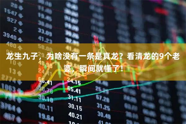 龙生九子，为啥没有一条是真龙？看清龙的9个老婆，瞬间就懂了！
